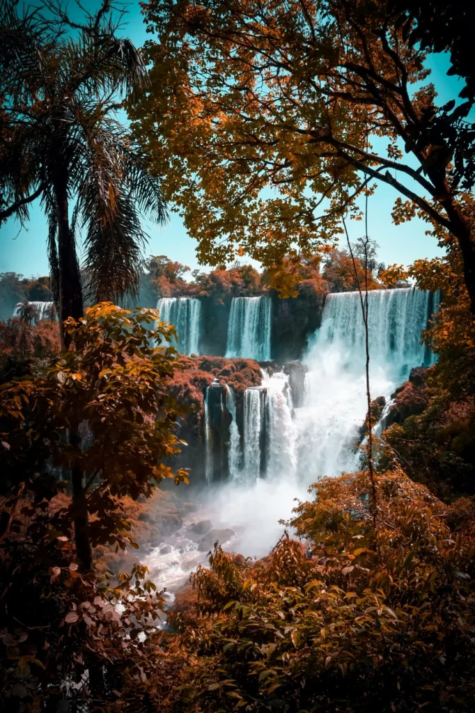 Vista de Argentina - origen de mudanzas internacionales desde Argentina